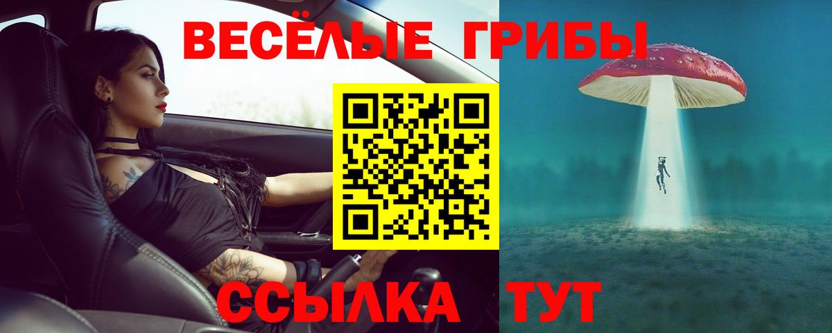 Белая Калитва  Псилоцибиновые грибы прущие грибы  Вход с VPN 